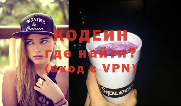 прущие грибы Инта
