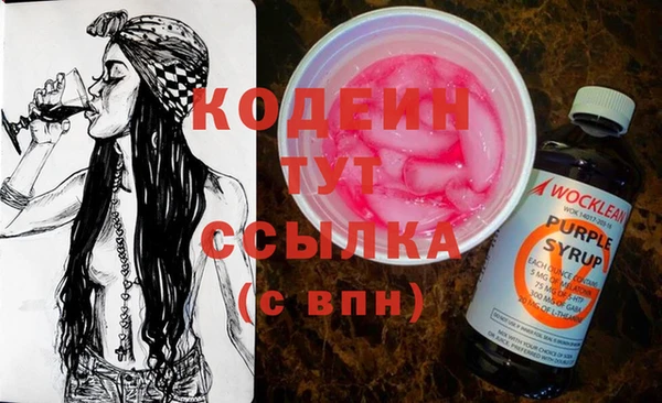 прущие грибы Инта