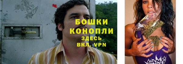 ПСИЛОЦИБИНОВЫЕ ГРИБЫ Иннополис