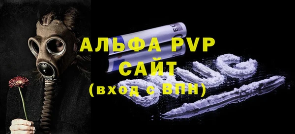 прущие грибы Инта