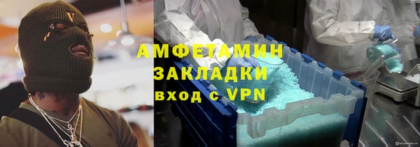 прущие грибы Инта