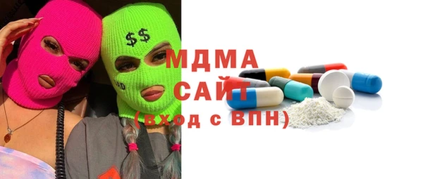 прущие грибы Инта