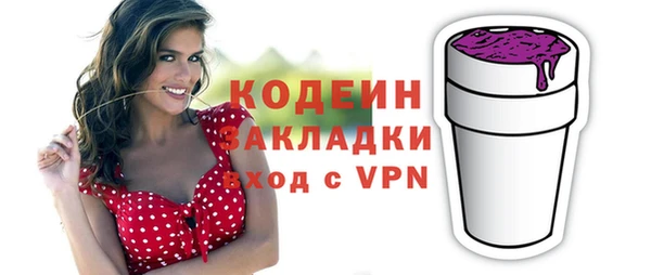 прущие грибы Инта