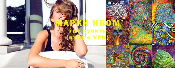 прущие грибы Инта