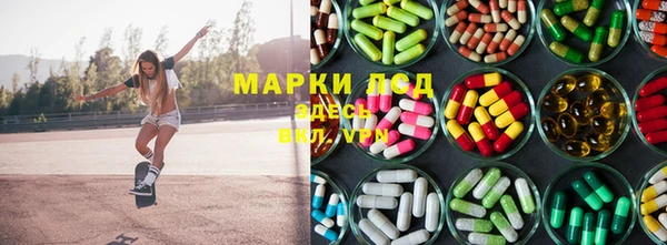 прущие грибы Инта