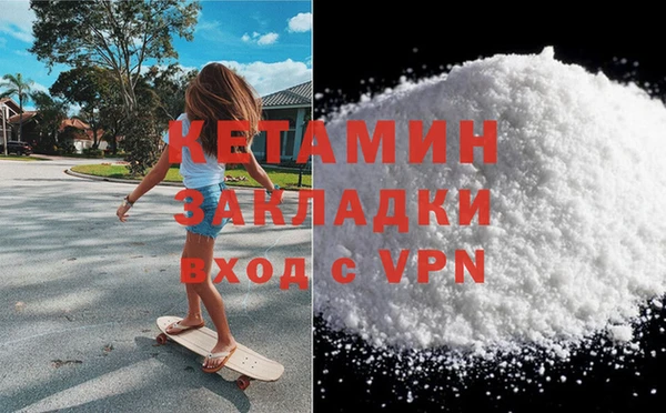прущие грибы Инта