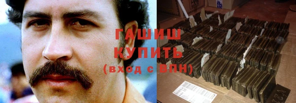 прущие грибы Инта