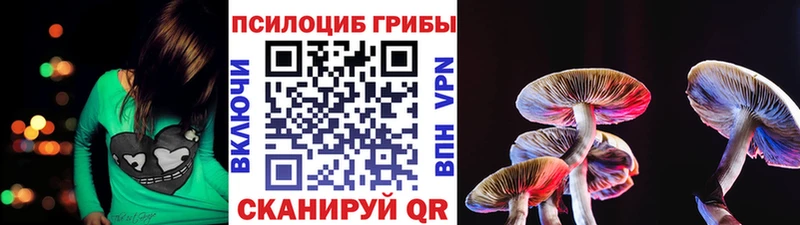 Купить где  Заводоуковск  Псилоцибиновые грибы GOLDEN TEACHER 